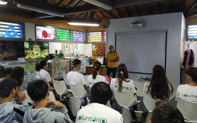Programa de Voluntariado Jovem para a Natureza e Florestas na Mealhada