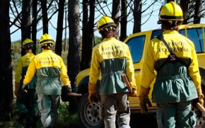 Contratação de cinco sapadores florestais