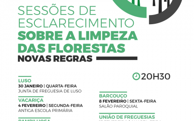 Sessões de esclarecimento sobre a Limpeza das Florestas