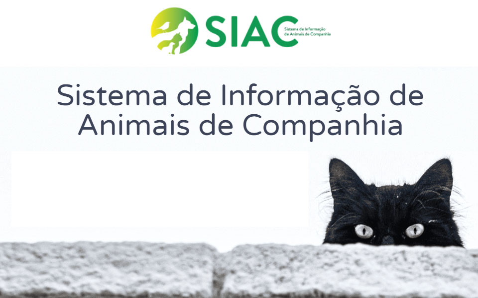 Decreto-Lei 82/2019 (SIAC) – Identificação, registo e licenciamento dos animais de companhia